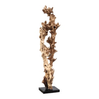 Gamal Wood Tree Art Sculpture on Stand For Sale