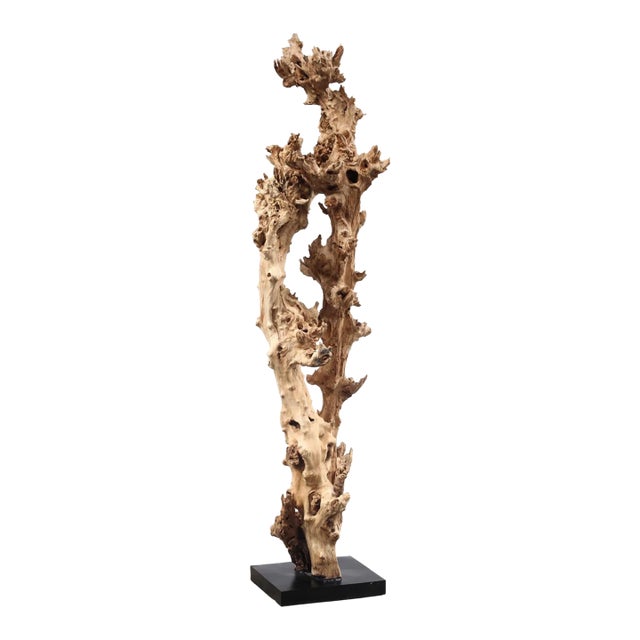 Gamal Wood Tree Art Sculpture on Stand For Sale