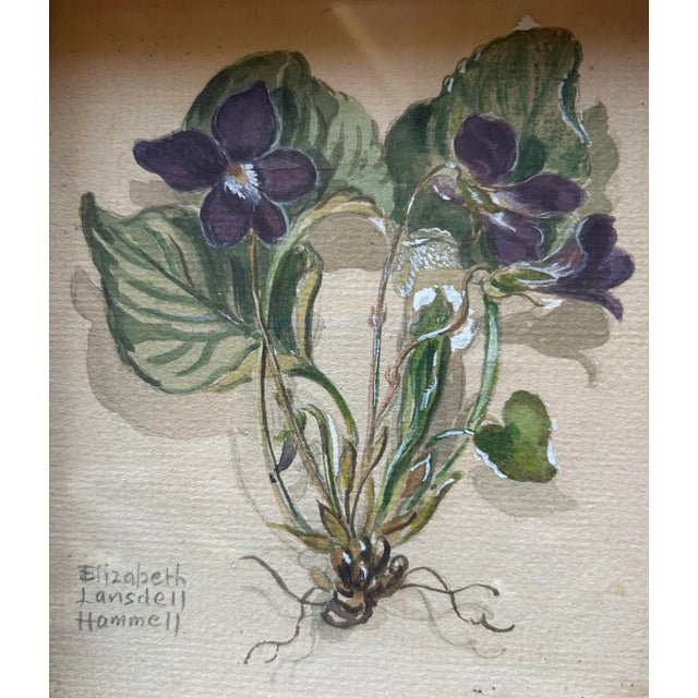 Petite Antique 1930’s Detailed Watercolor of Violets by Elizabeth Lansdell Hammell For Sale - Image 4 of 6