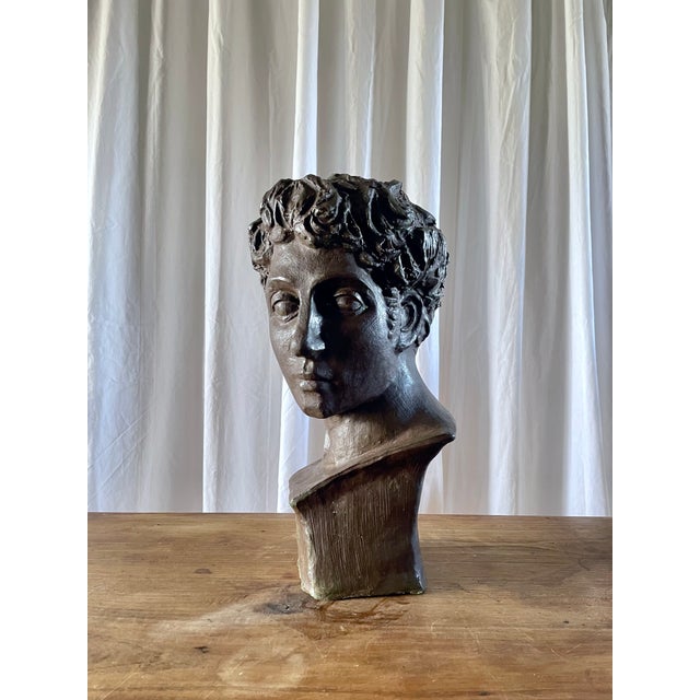 Classical Terracotta Bust, 1960s For Sale - Image 6 of 18