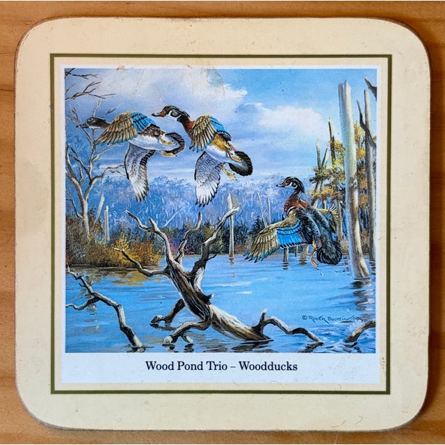 Vintage Traditional Duck Goose Waterfowl Coasters - Sset of 6 For Sale - Image 4 of 11
