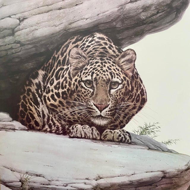 Late 20th Century Framed Leopard Lithograph "Ambush," by Guy Coheleach Wildlife Art For Sale - Image 11 of 12