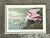 Vintage Audubon Print of Pink Spoonbill For Sale - Image 10 of 12