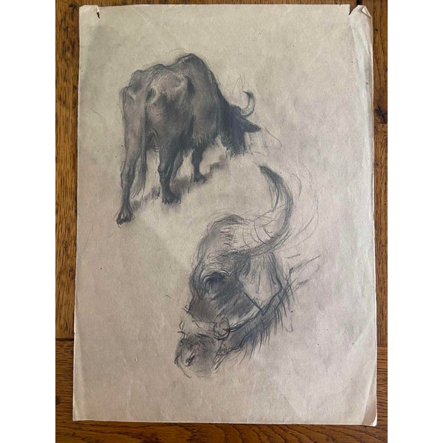 Christo Javacheff, Early Animal Illustration, 1950s, Drawing on Paper For Sale - Image 4 of 4