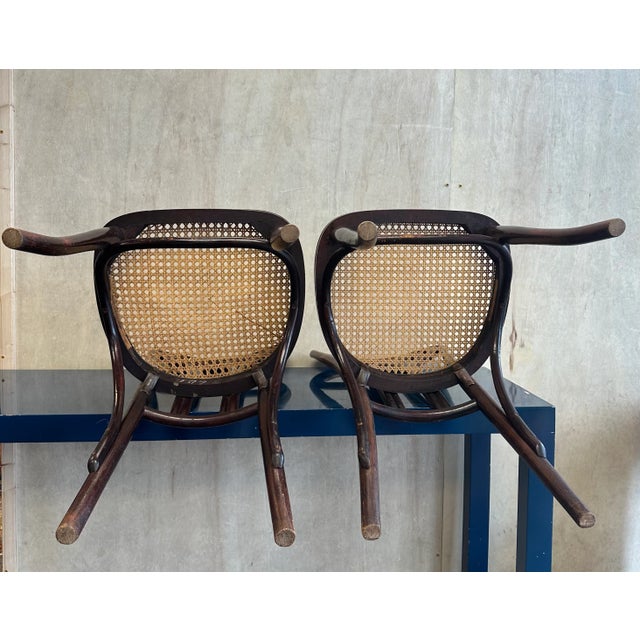 1910s Pair Pre-1920 Thonet Bentwood and Cane Dining Chairs With Loop Shaped Leg Braces For Sale - Image 5 of 12
