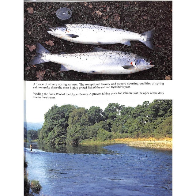 "Flyfishing for Salmon" 1995 McKelvie, Colin For Sale - Image 9 of 10