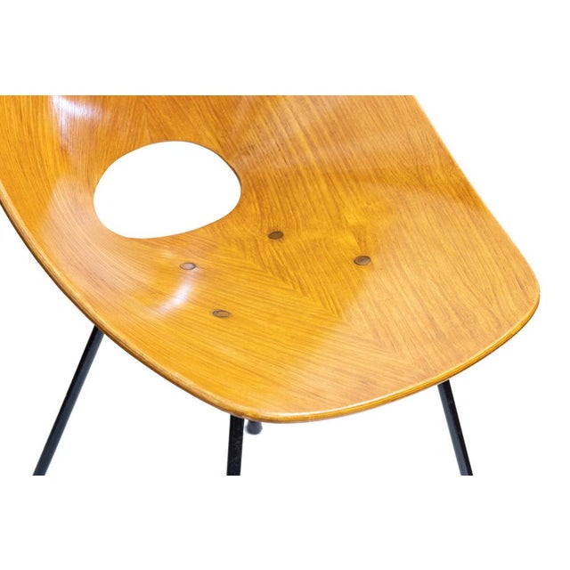 Iconic medea chair designed in 1955 by Vittorio Nobili for Fratelli Tagliabue and winner of the Compasso D'Oro at the...