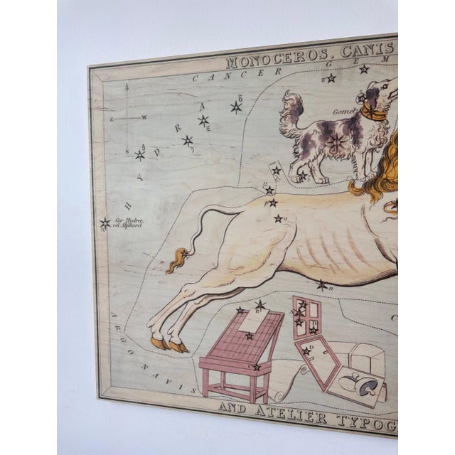 Monoceros and Canis Minor Constellation Map on Board Artwork For Sale - Image 11 of 12