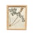 1893 Herbarium Botanical Specimens, Set of 12 For Sale - Image 10 of 18