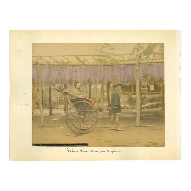 Unknown, Ancient View From Tokyo, Albumen Print, 1880s-1890s For Sale