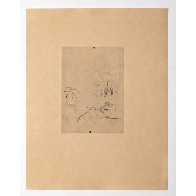 Duck on the Lake is an original modern artwork realized in the 19th Century. Original Etching on paper. Mint condition....