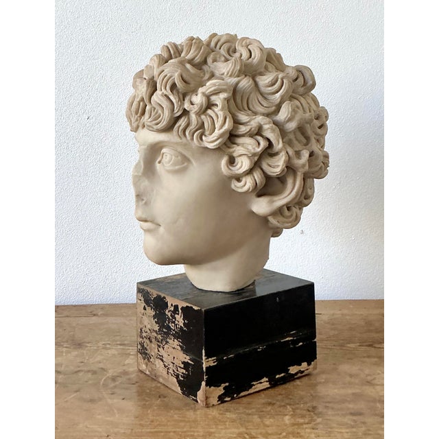Cream Vintage Boho Cast Marble Bust of Marcus Aurelius For Sale - Image 8 of 12
