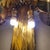 Palm Tree Lamps in Gilt Brass by Christian Techoueyres for Maison Jansen, France, 1970s, Set of 2 For Sale - Image 17 of 18