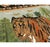 Galerie Shabab Collection Mid-20th Century Handmade Russian Bessarabian Pictorial Tiger Accent Rug For Sale In New York - Image 6 of 10