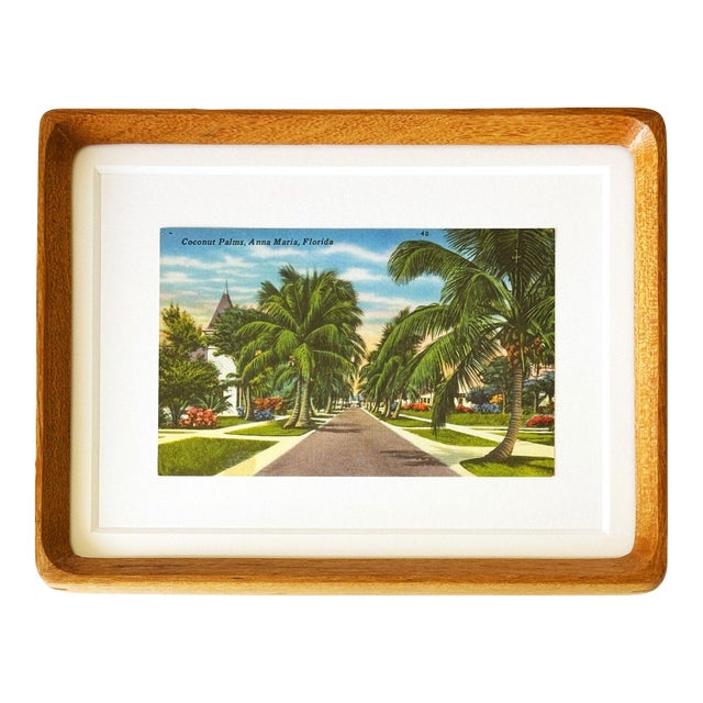 Florida Anna Maria Island Pine Ave Framed Vintage Postcard For Sale