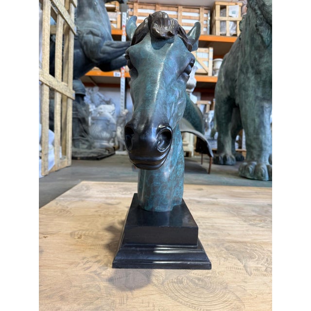Patinated Horse Head Bust, Bronze For Sale - Image 4 of 8