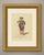 This is an original antique copper engraving from 1757, colored by hand, lettered "Habit of a Nobleman of England, in...