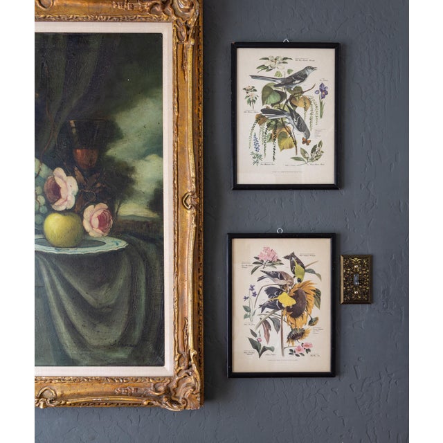 Pair of Framed Bird and Botanical Prints by Arthur Singer Mockingbird and Goldfinch For Sale - Image 11 of 16