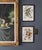 Pair of Framed Bird and Botanical Prints by Arthur Singer Mockingbird and Goldfinch For Sale - Image 11 of 16