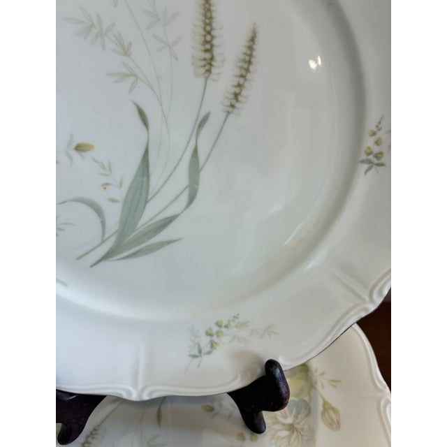 Ceramic Vintage Forest Bavaria Dinner Plates With Gold Rim - Set of 8 For Sale - Image 7 of 12