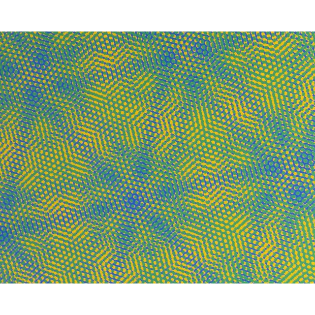 1969 “n-2g2y” Op Art Serigraph by Josef Allen Levi For Sale In Indianapolis - Image 6 of 8