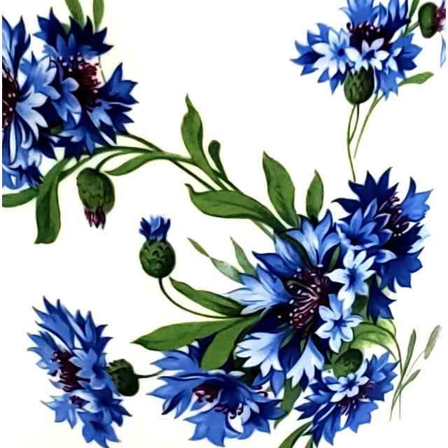 Ginger Jar Royal Windsor For Sale - Image 9 of 11