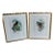 Mid 20th Century Rare to Find Hand Colored John Gould British Artist Bird Monographs - Pair For Sale