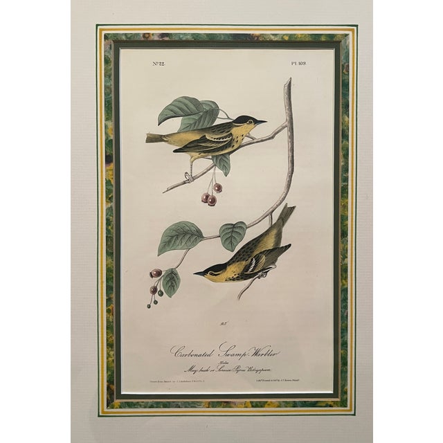 Mid 20th Century Audubon Birds of America (First Edition Royal Octavo) | Antique Prints of Rare Songbird Collection- Set of 4, Framed For Sale - Image 9 of 12