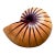 Vintage Handcrafted Wood Nautilus Form For Sale