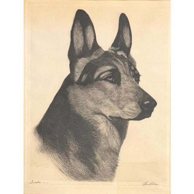 Limited Edition Bert Cobb Signed Drypoint Etching German Shepherd Luchs 33 of 75 For Sale - Image 4 of 12