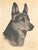 Limited Edition Bert Cobb Signed Drypoint Etching German Shepherd Luchs 33 of 75 For Sale - Image 4 of 12