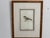 Ethan Allen Antique Bird Print: Atricapillus For Sale In Denver - Image 6 of 8