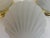 White 1970s Scallop Shell Wall Lights - Set of Three For Sale - Image 8 of 11