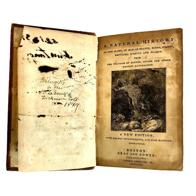 American Complete Five-Volume 1831 Leather-Bound Set of "Buffon’s Natural History" For Sale - Image 3 of 14
