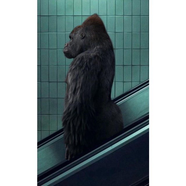 Mr strange, 2022, The Escalator, Giclée print on Hanhemühle paper For Sale - Image 4 of 11