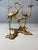 Brass Bonsai Tree & Cane Bird Side Table by Willy Daro, Belgium, 1970s For Sale - Image 13 of 16