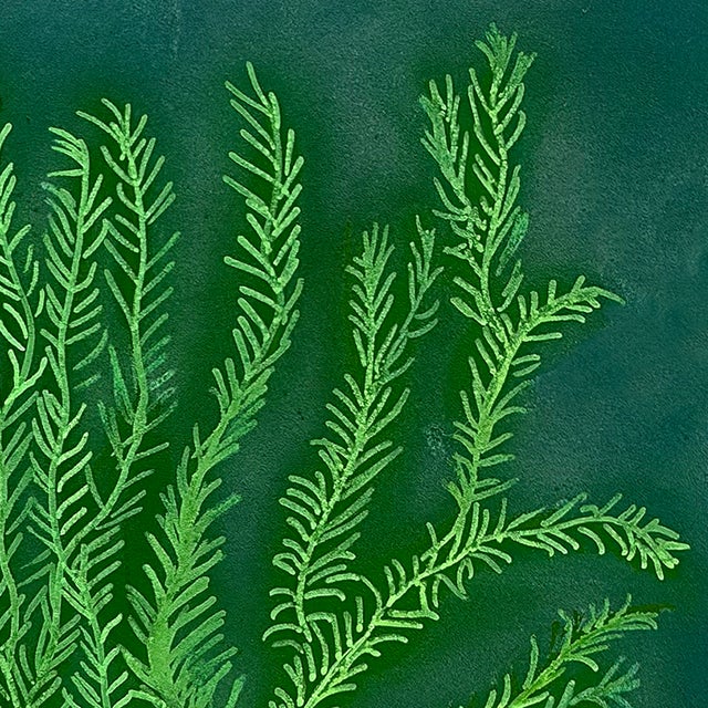 Rosemary Garden No. 1 Contemporary Painting by Susan Havens For Sale - Image 4 of 4