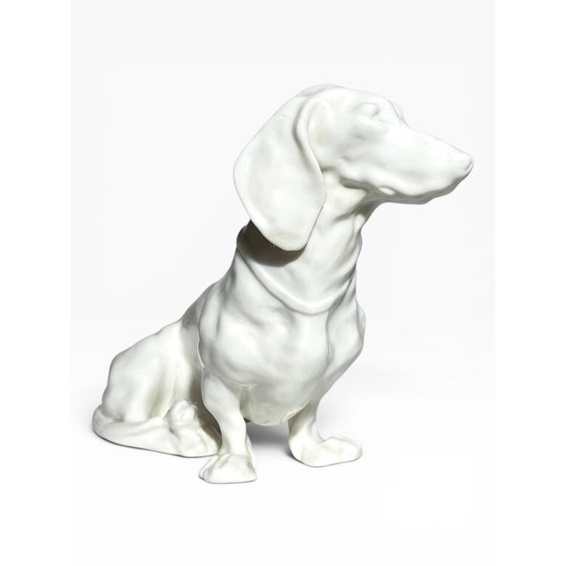 A white porcelain dachshund with an ivory glaze from the Nymphenburg Porcelain Manufactory in Munich Germany.