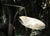 Brass ​Vintage Outdoor Garden Fountain of Sculpted Mid-Century Brass Musical Instruments- 6 Ft+ Kinetic Water Feature For Sale - Image 8 of 18