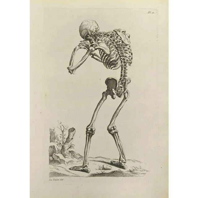 Skeleton after Titian is an etching realized by Jean Francois Poletnich in 1755. Signed in the plate. Good conditions with...