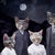 Contemporary Never forget the Forest - Cats by Marcin and Kate Owczarek | Digital Art of people with cat heads For Sale - Image 3 of 5