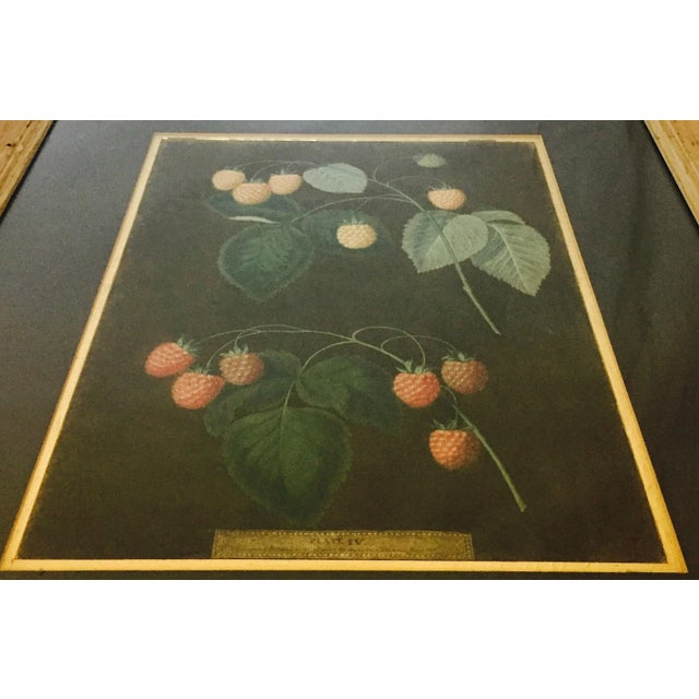 Early 19th Century Early 19th Century Hand Colored Stipple Aquatint Engravings by George Bradshaw - 2 Pieces For Sale - Image 5 of 10