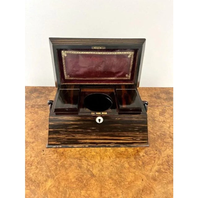 Regency Coromandel Wood Tea Caddy, 1830s For Sale - Image 6 of 10