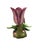 Mottahedeh Tulip Vase - Stately Homes, Sir Humphrey Wakefield Br For Sale In San Francisco - Image 6 of 7