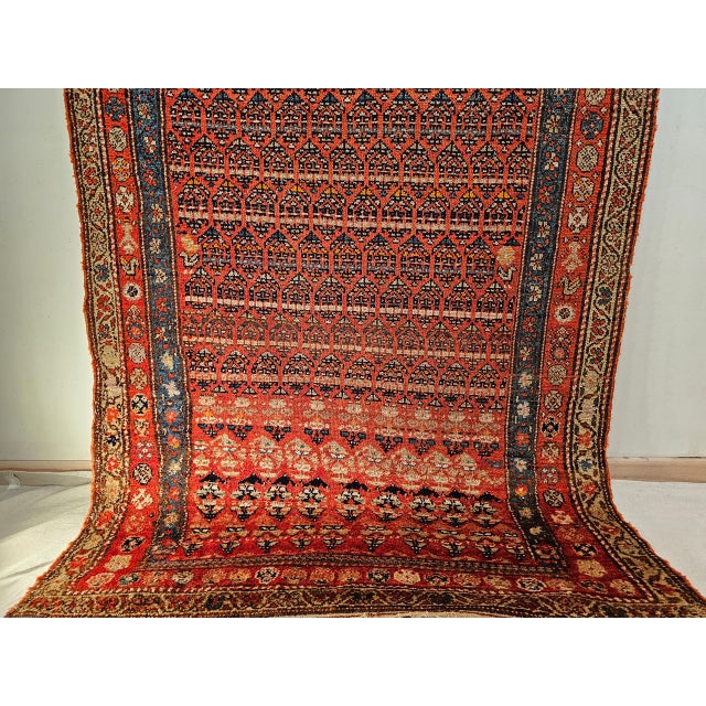 Textile Vintage Persian Kurdish Bidjar Wide Runner Rug, Hand-Knotted Wool, Paisley Pattern, Terracotta & Blue, 4x11 For Sale - Image 7 of 12