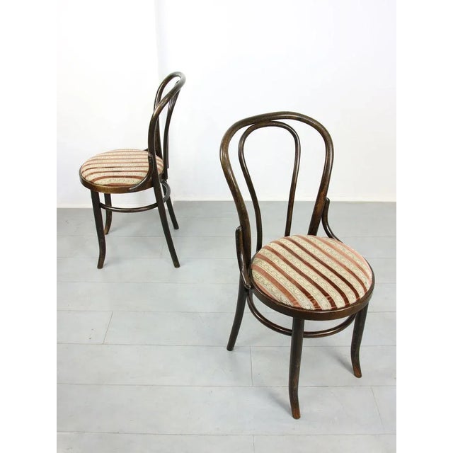Set of Plush Upholstered Dining Chairs by Michael Thonet, 1970s For Sale - Image 3 of 18
