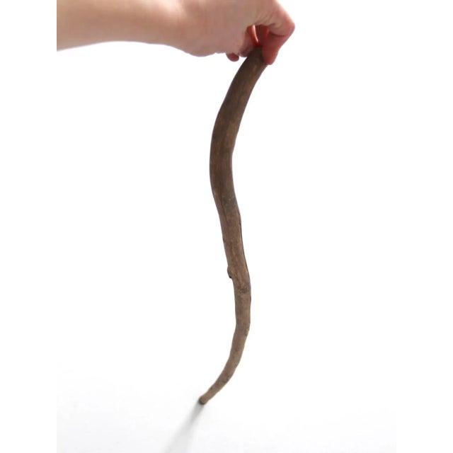 Early 20th Century Antique Walking Stick For Sale - Image 5 of 11