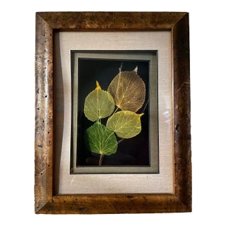 2000s Framed Etched Leaves by Booker Morey For Sale