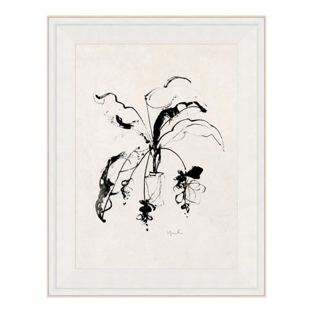 Carrier & Company for Soicher Marin 'Plant II' Framed Minimalism Print For Sale