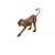 Safari Late 20th Century Large Leather-Wrapped Monkey Figure With Glass Eyes, Safari Sculpture, 24"h For Sale - Image 3 of 8
